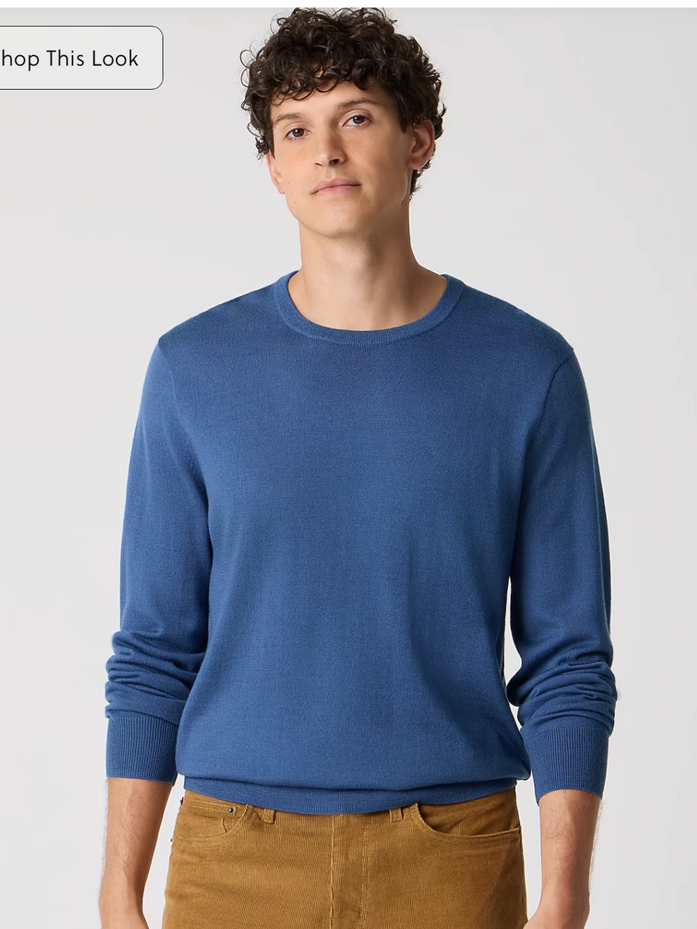 JCrew merino blend Men's Crewneck Sweater